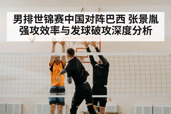 volleyball block net