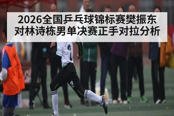 2026全国乒乓球锦标赛樊振东对林诗栋男单决赛正手对拉分析