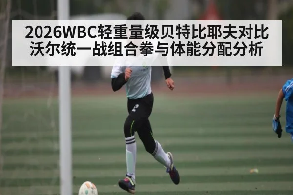 2026WBC轻重量级贝特比耶夫对比沃尔统一战组合拳与体能分配分析